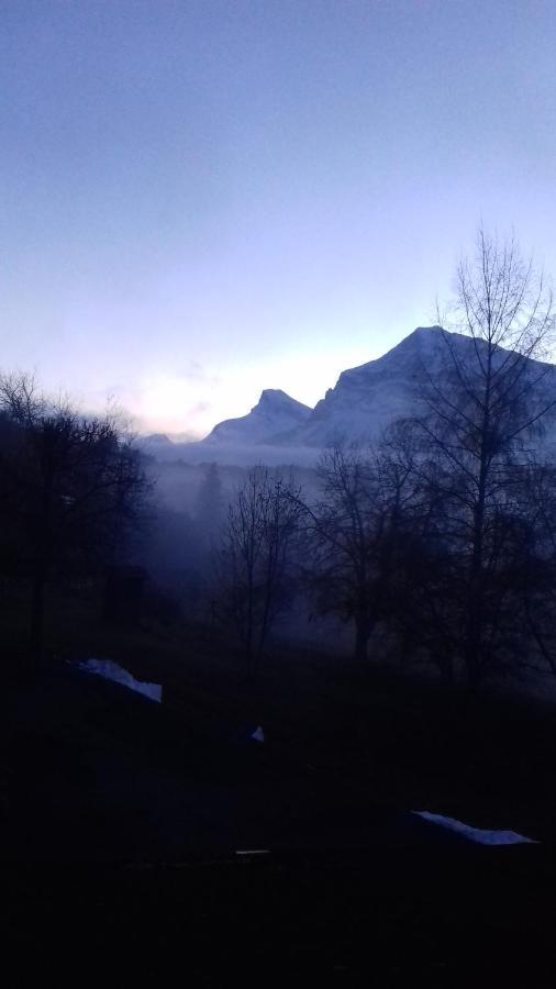 Hotel Chalet Les Airelles Les Carroz d'Araches Exterior foto